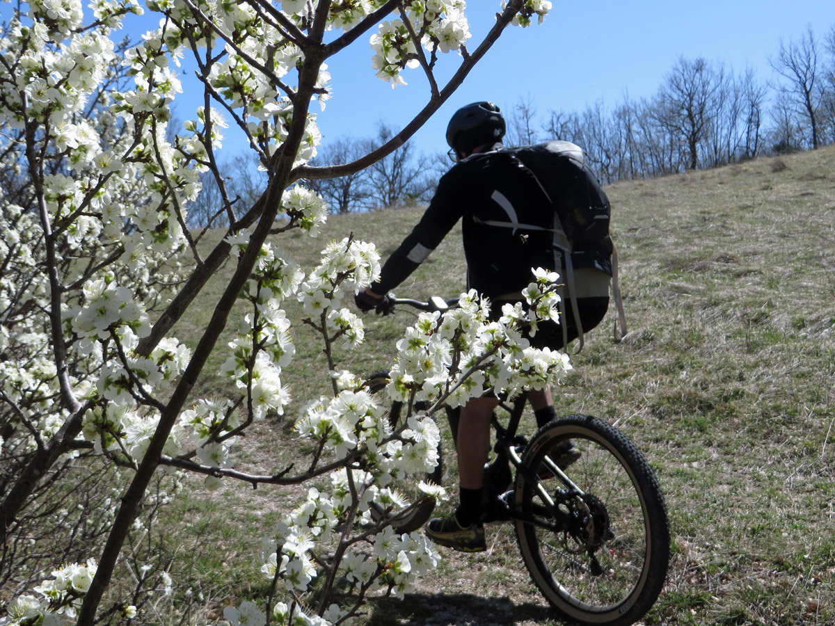 MONTE-GEMMO-31-03-2019-474