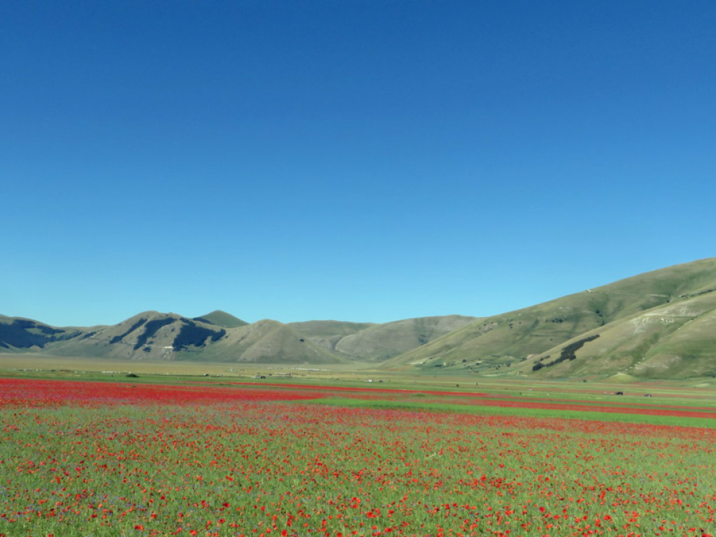 CASTELLUCCIO-30-06-2019-016