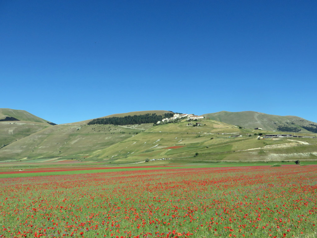 CASTELLUCCIO-30-06-2019-017