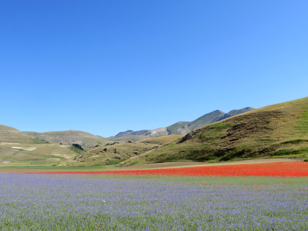 CASTELLUCCIO-30-06-2019-038