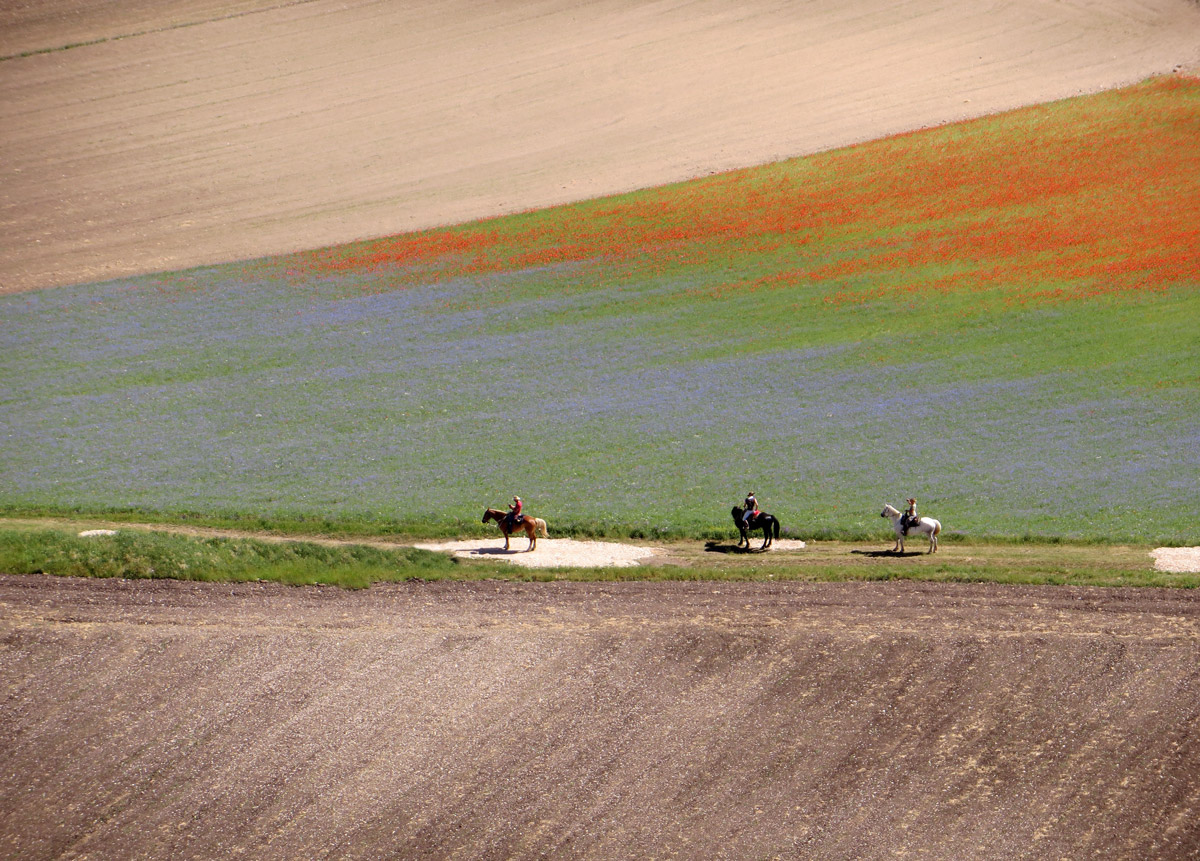 CASTELLUCCIO-30-06-2019-049