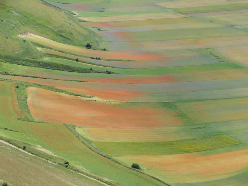 CASTELLUCCIO-30-06-2019-075