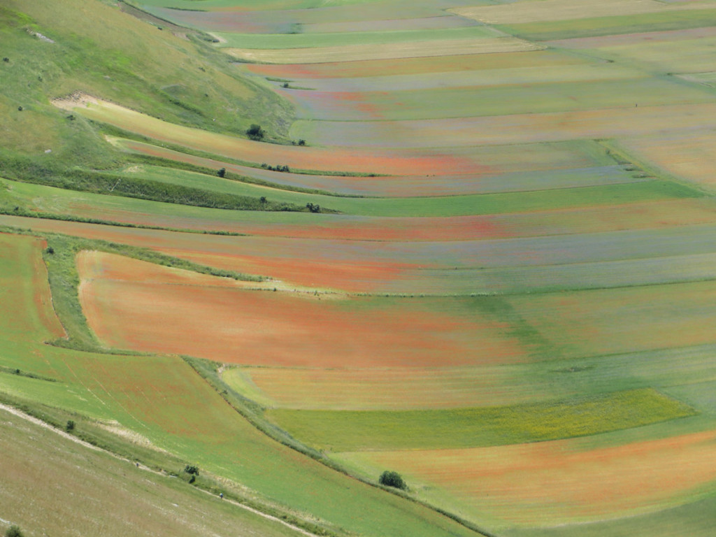 CASTELLUCCIO-30-06-2019-075