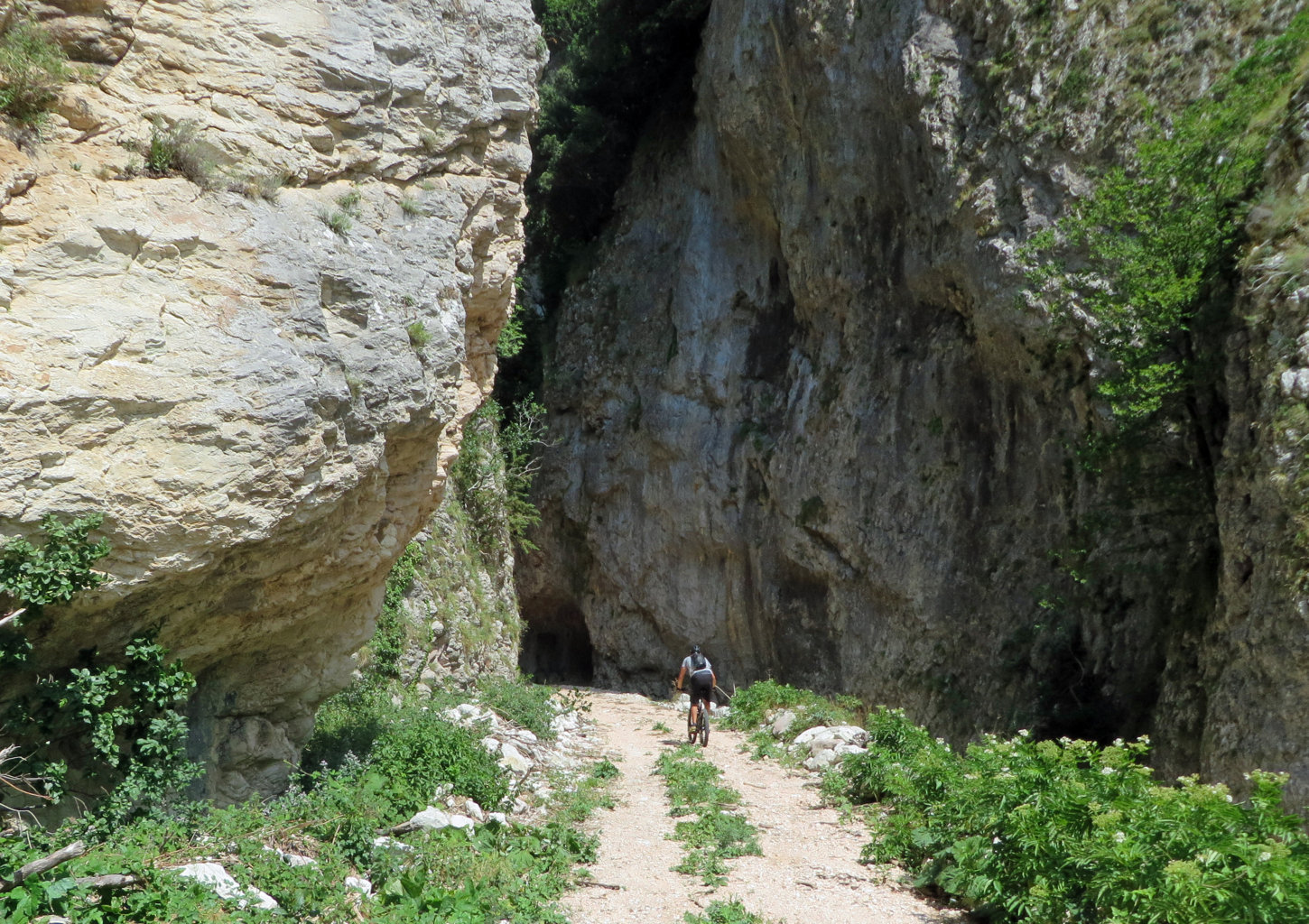 rio sacro 21 07 19 206 (FILEminimizer)