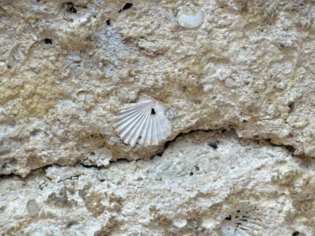 BASILICATA 21 09 2019 1121