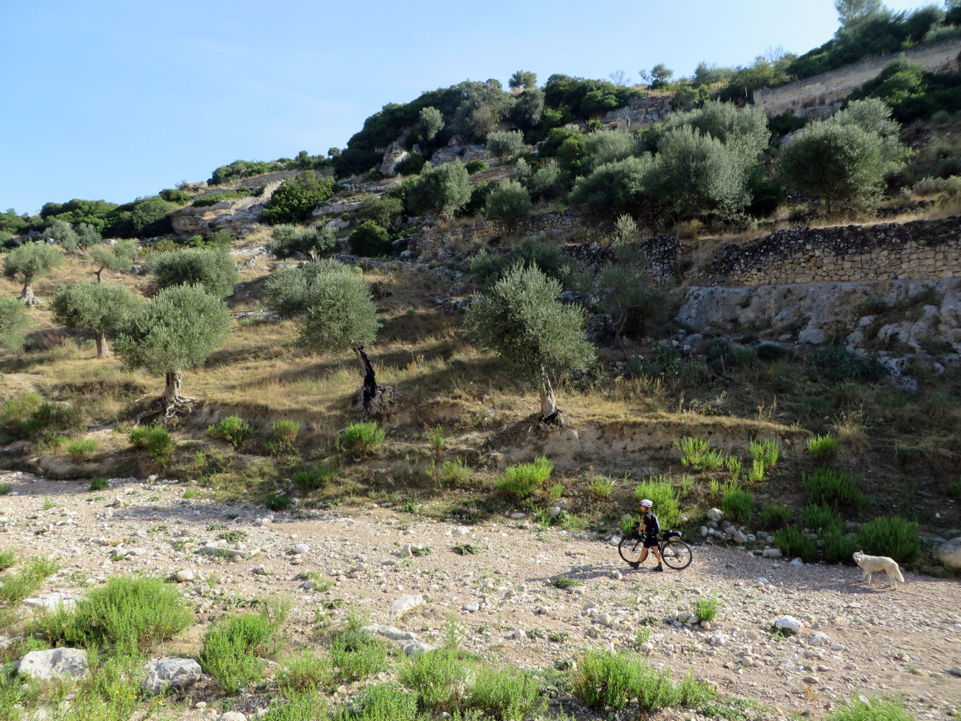 BASILICATA 21 09 2019 1151