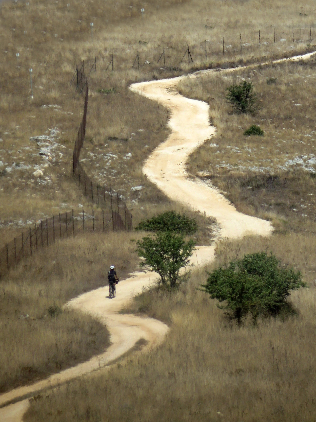 BASILICATA 21 09 2019 1492