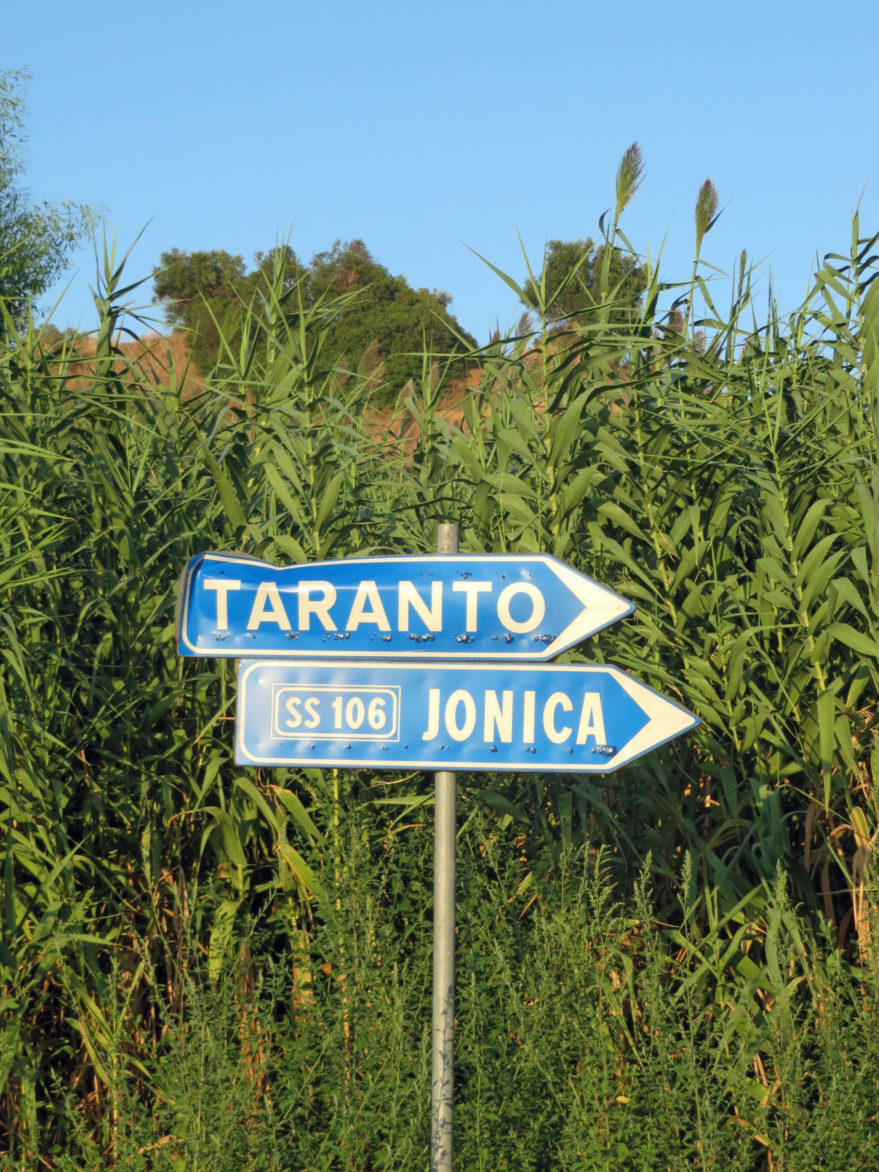 BASILICATA 21 09 2019 599