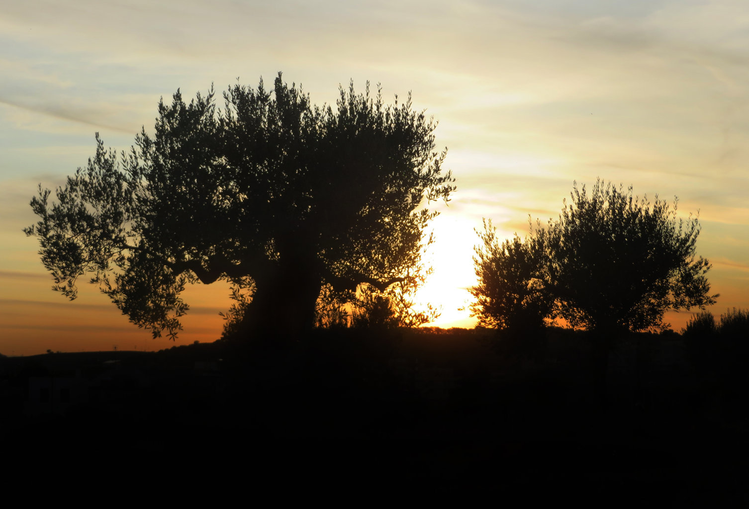 BASILICATA 21 09 2019 976