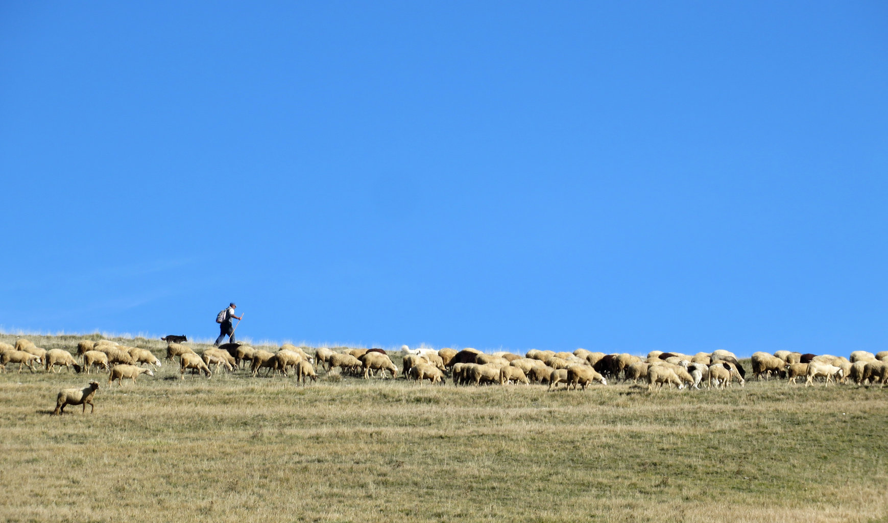 CASTELLUCCIO 19 10 2019 169