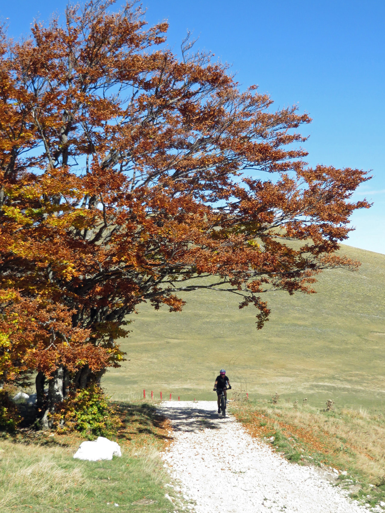 CASTELLUCCIO 19 10 2019 248