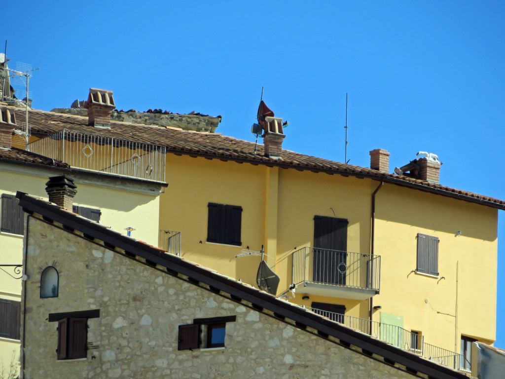 CASTELLUCCIO 19 10 2019 446