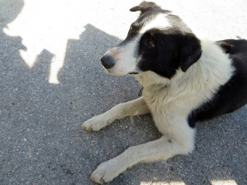 CASTELLUCCIO 19 10 2019 458