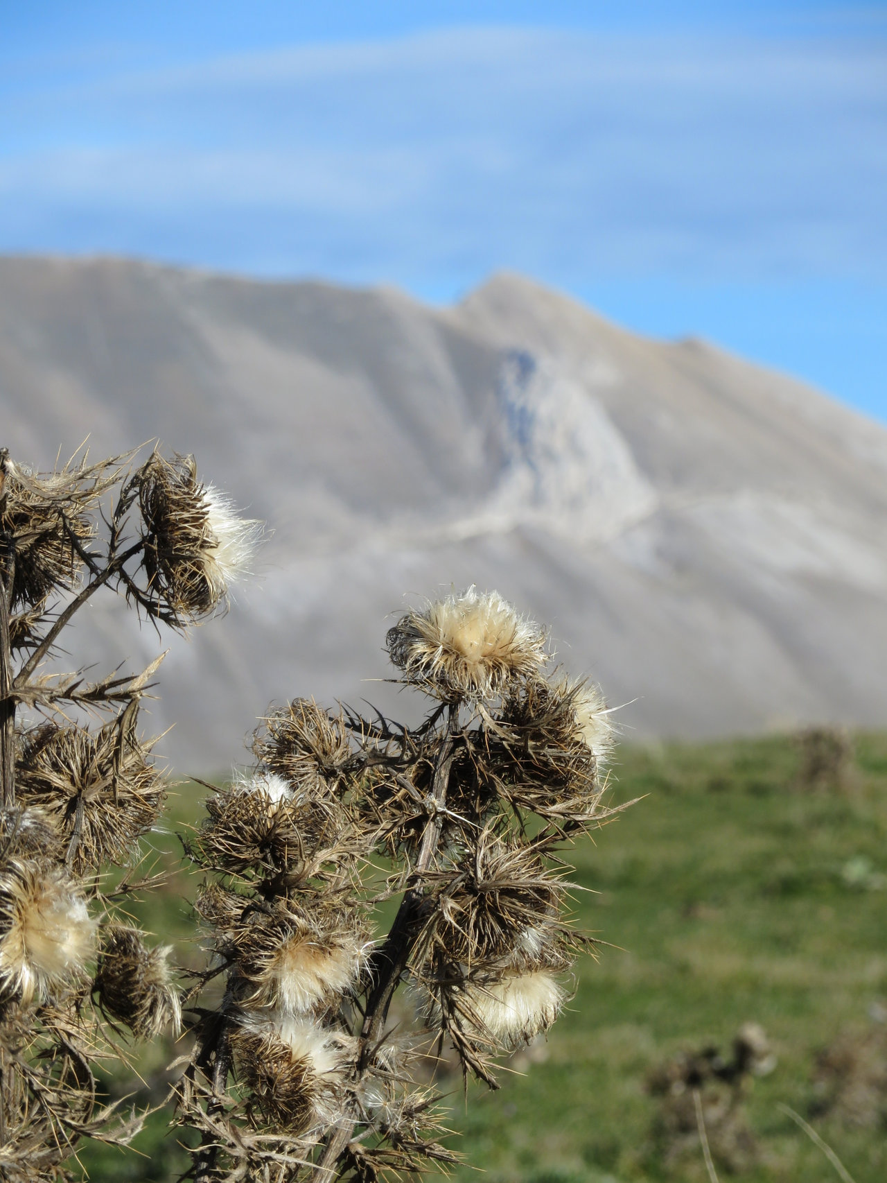 CASTELLUCCIO 19 10 2019 597