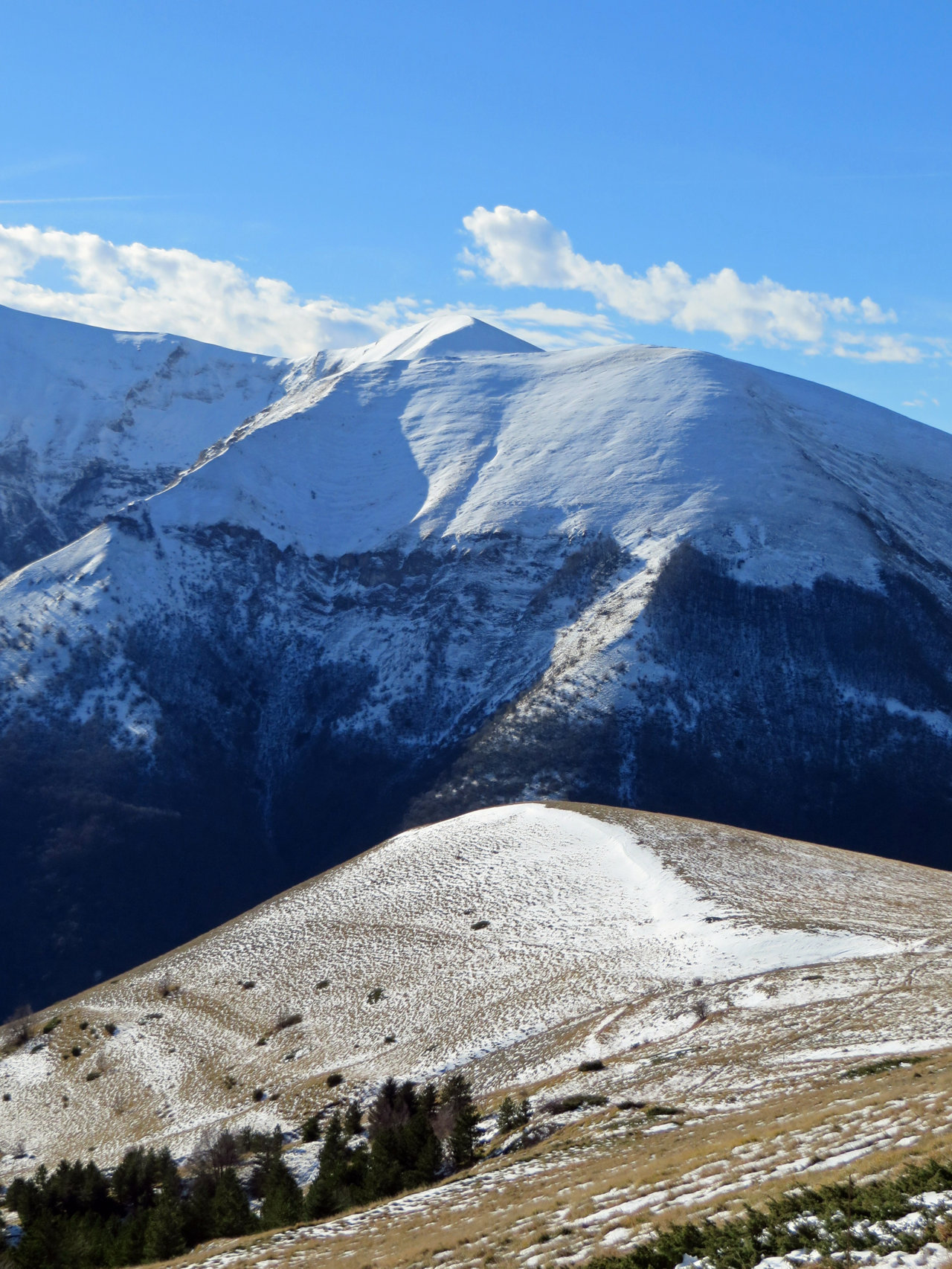 RAGNOLO 15 12 2019 295