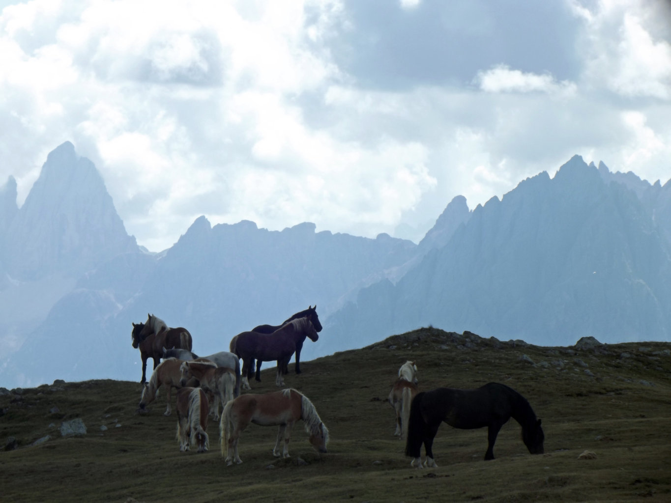 dolomiti 08 2019 22 08 2019 182