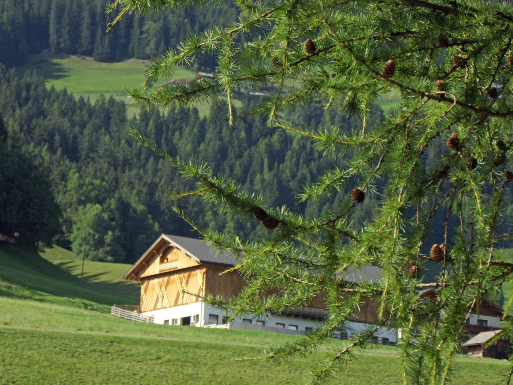 dolomiti 08 2019 22 08 2019 338