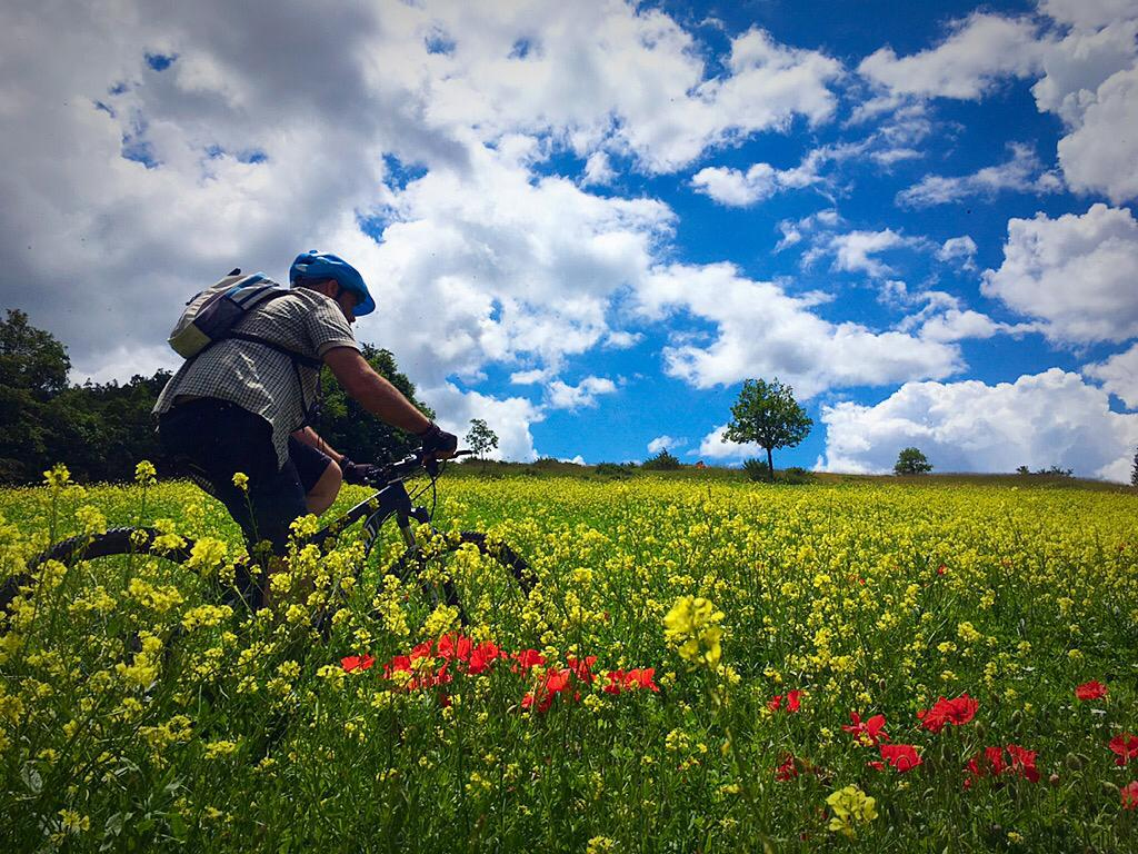 FIORI