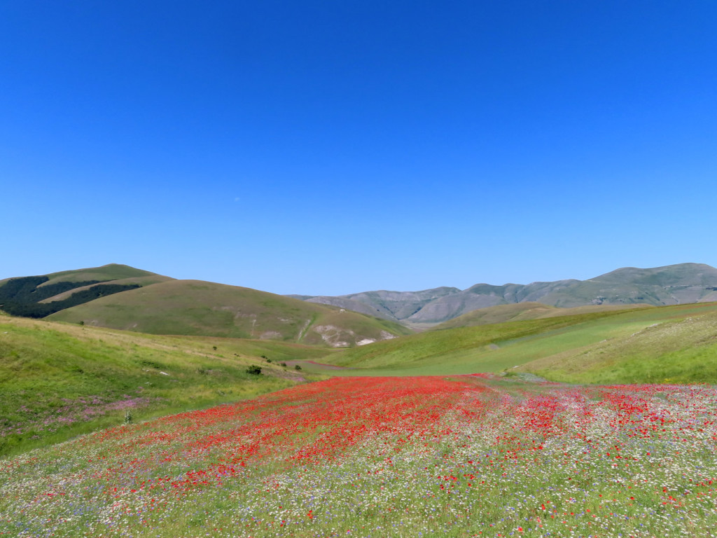 CASTELLUCCIO 11 07 2020 106