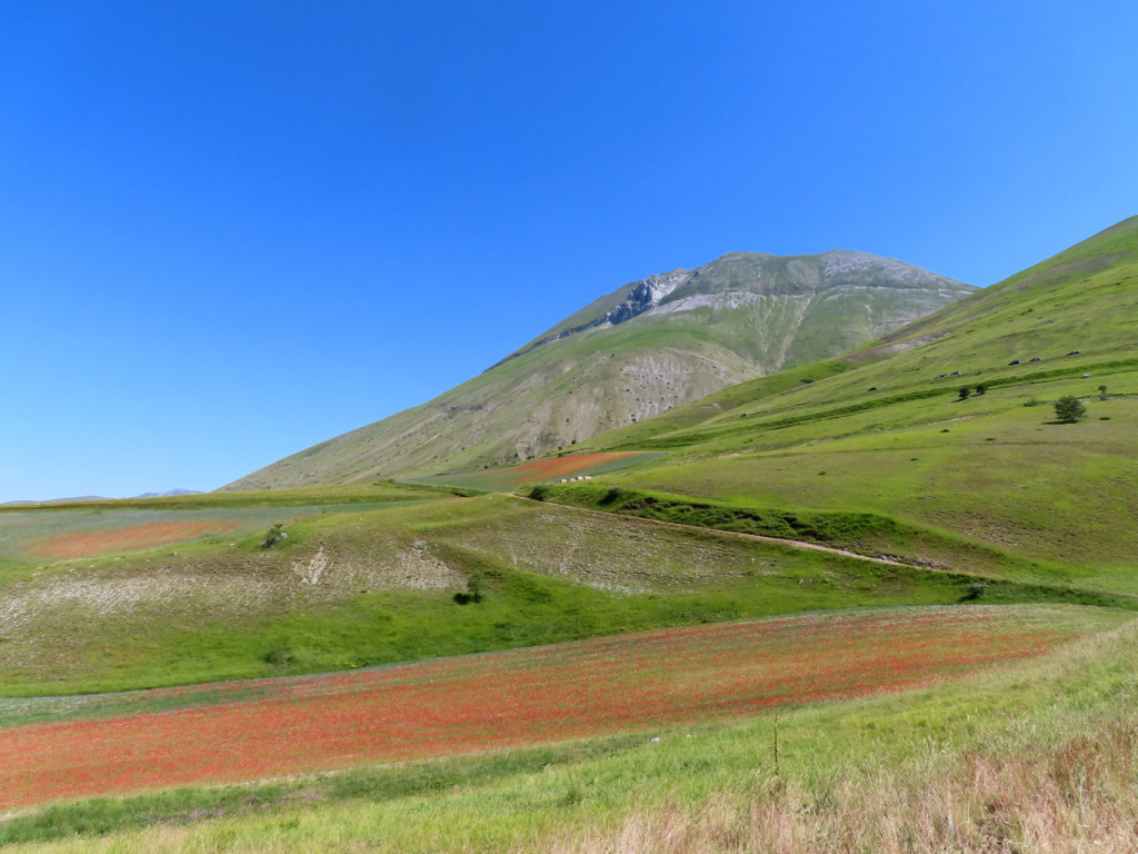 CASTELLUCCIO 11 07 2020 109