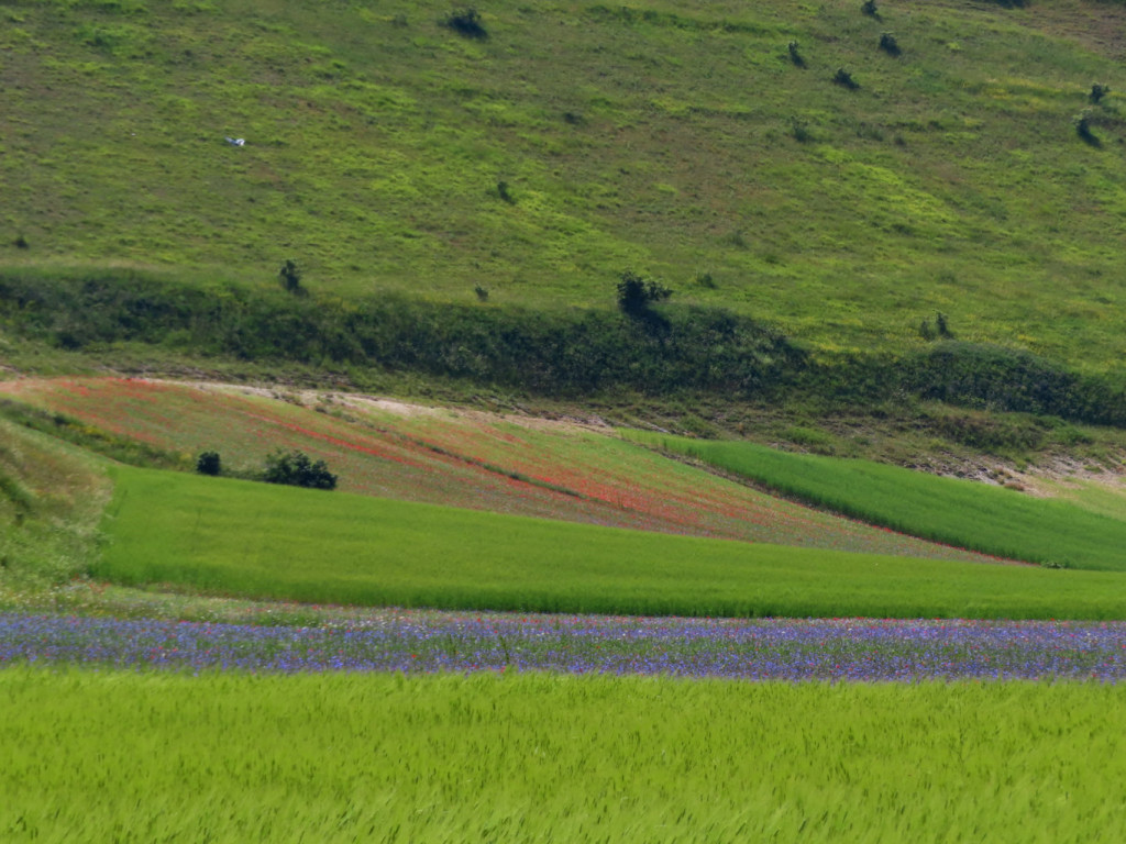 CASTELLUCCIO 11 07 2020 668