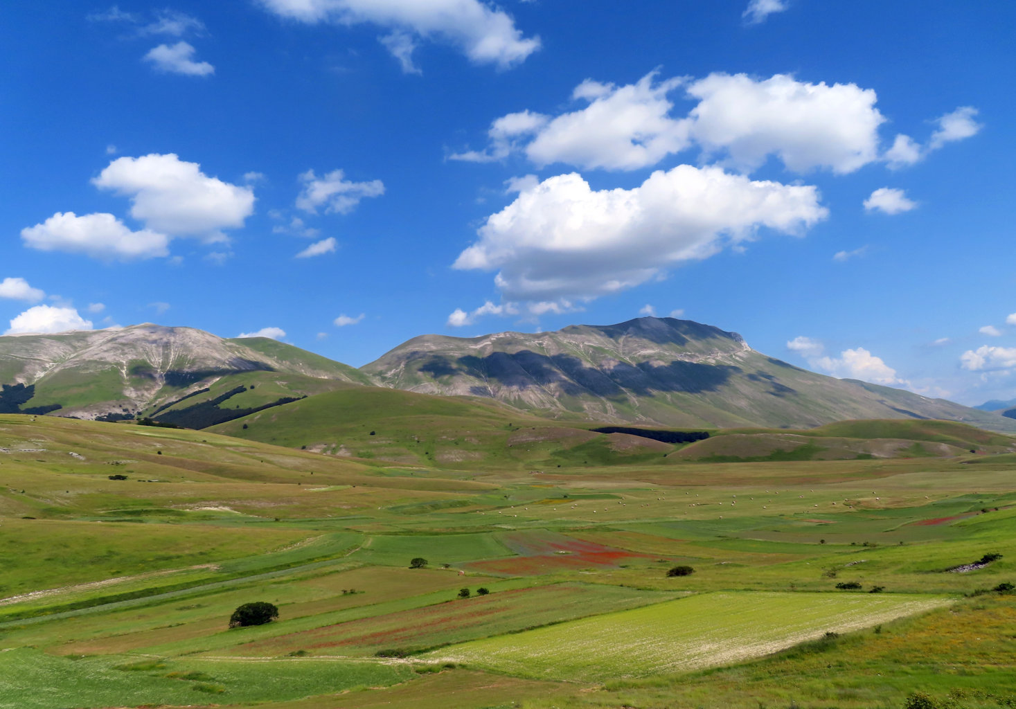 CASTELLUCCIO 11 07 2020 701