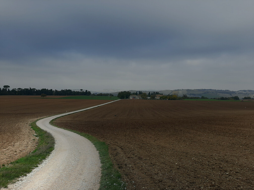 20201115_113057 (FILEminimizer)