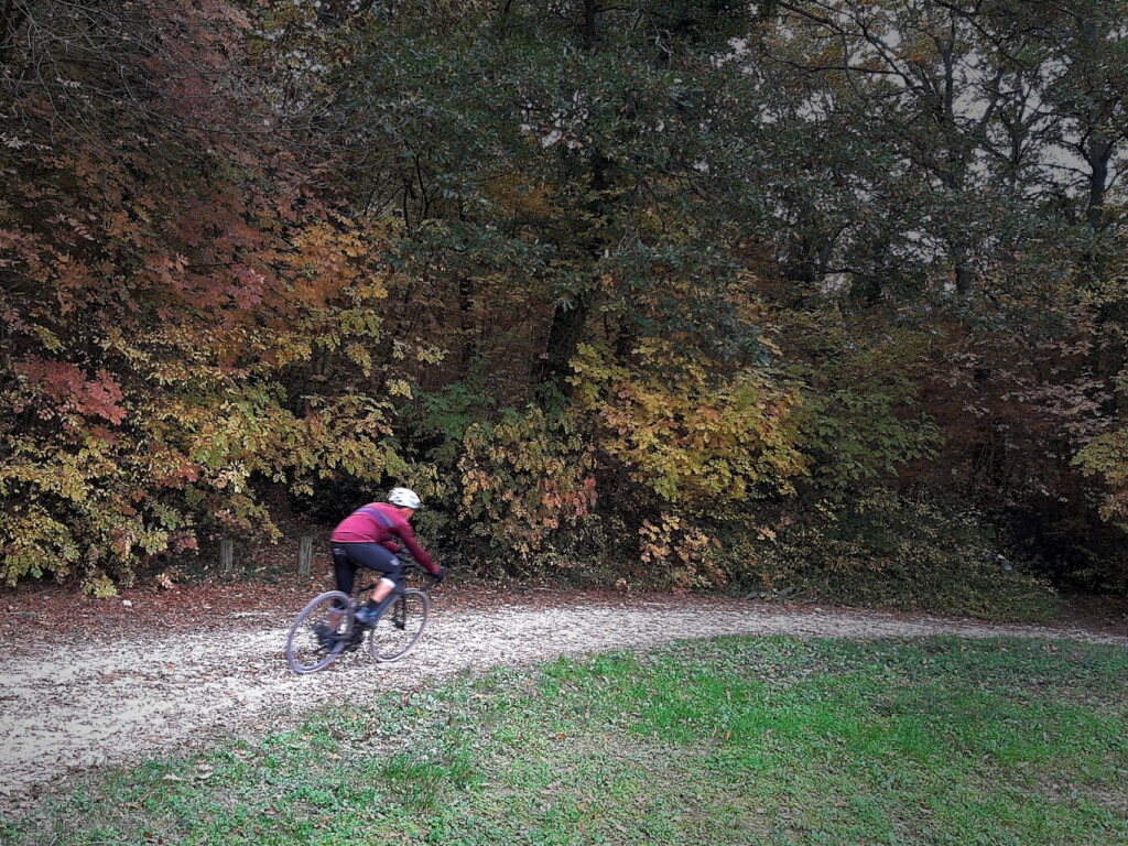 20201115_113719_006 (FILEminimizer)