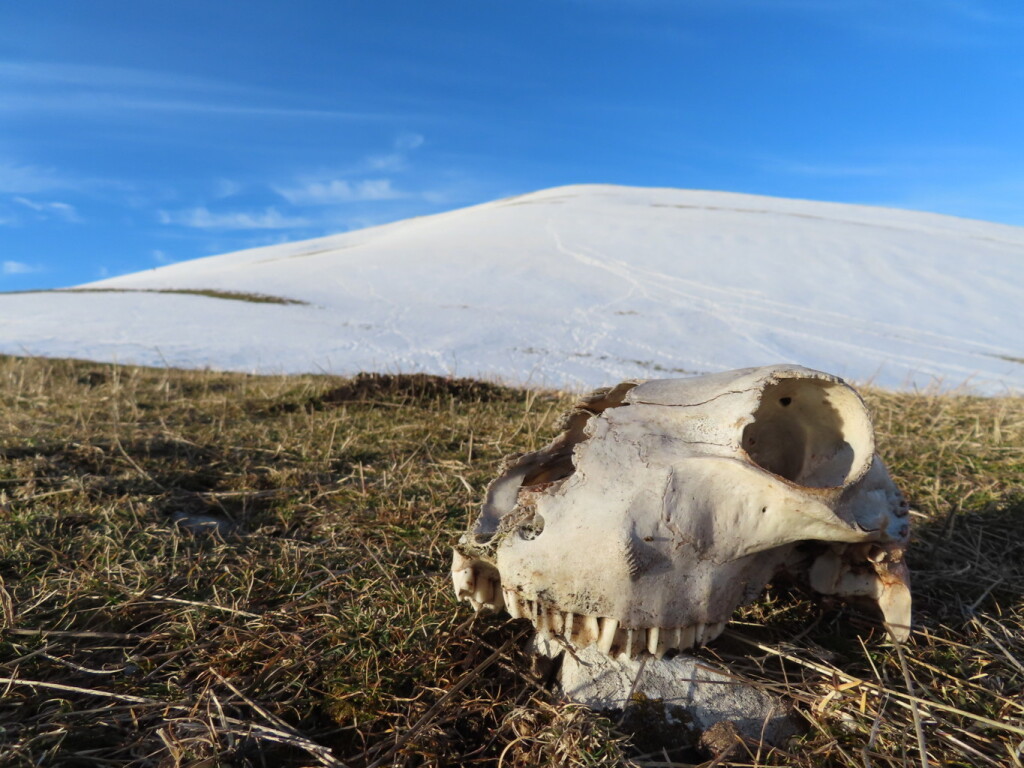 sibillini 06 02 2021 (19)