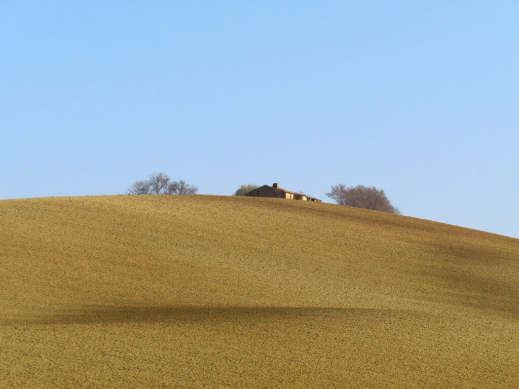 colli dell'infinito 27 02 2021 (48)