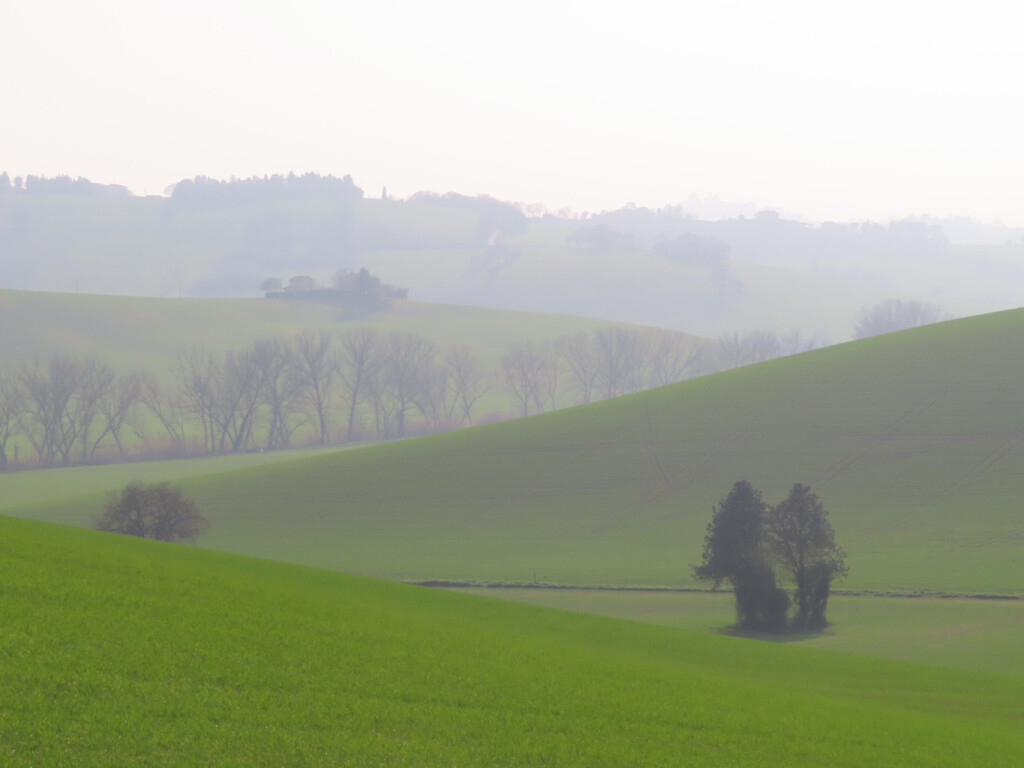colli dell'infinito 27 02 2021 (68)