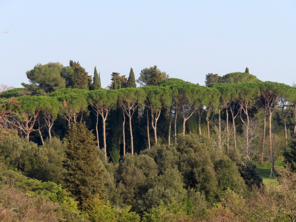 colli dell'infinito 27 02 2021 (73)