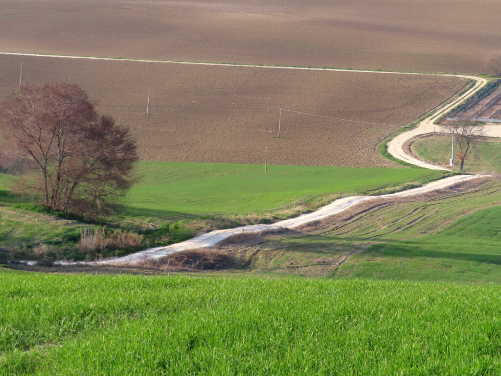 colli dell'infinito 27 02 2021 (75)