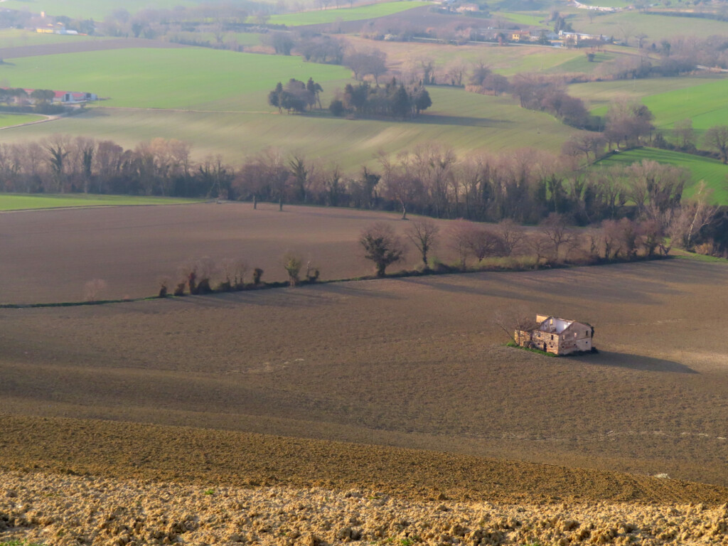 colli dell'infinito 27 02 2021 (76)