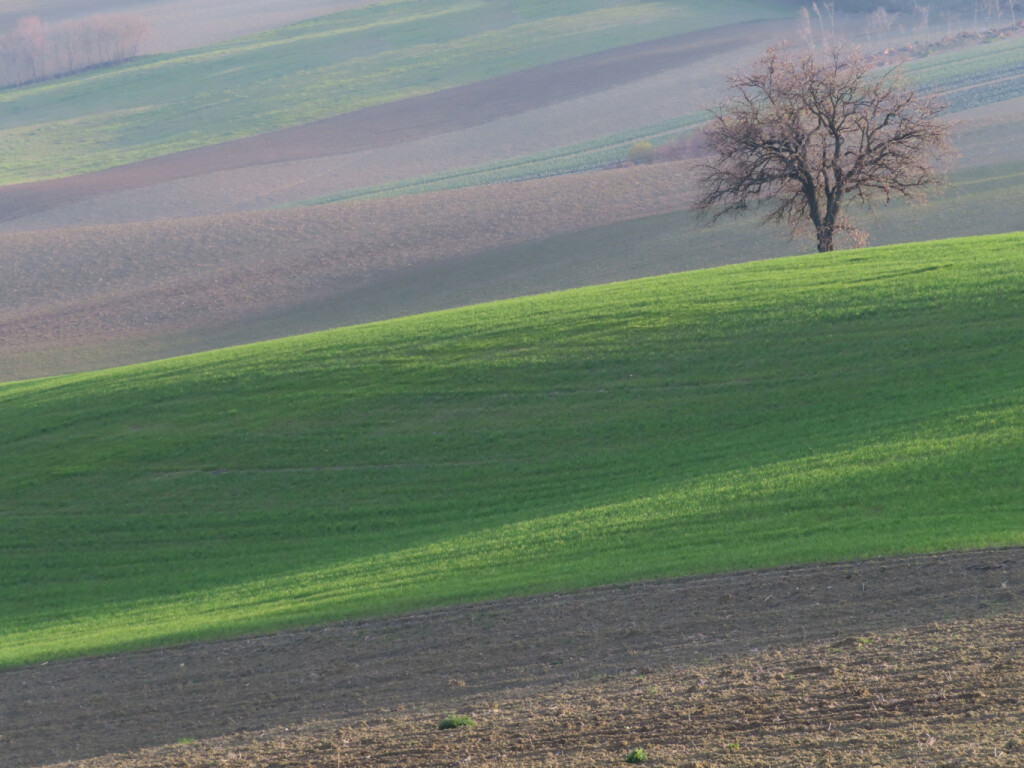 colli dell'infinito 27 02 2021 (78)