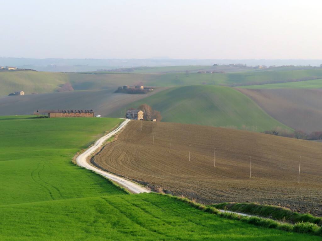 colli dell'infinito 27 02 2021 (89)