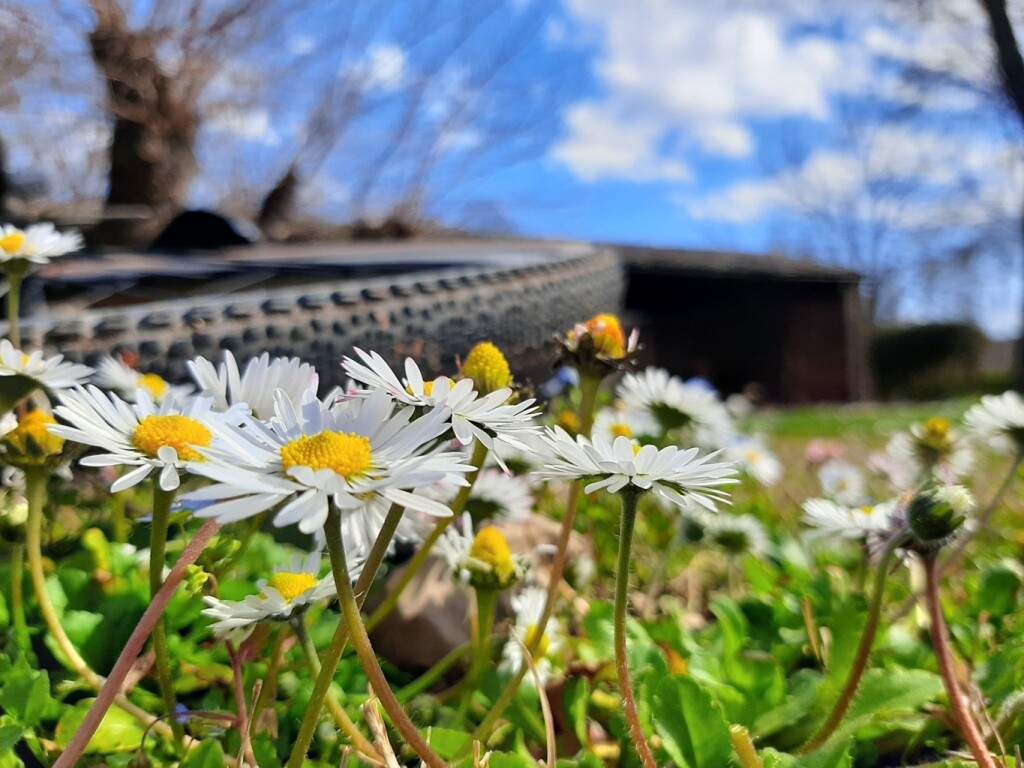 20210313_114713