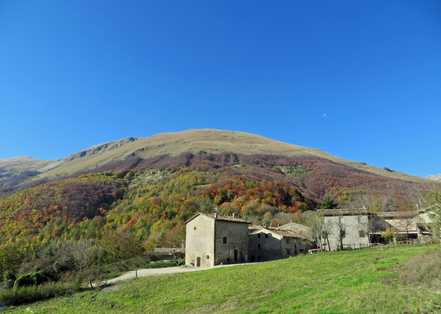 BANDITELLO 01 11 2015 007