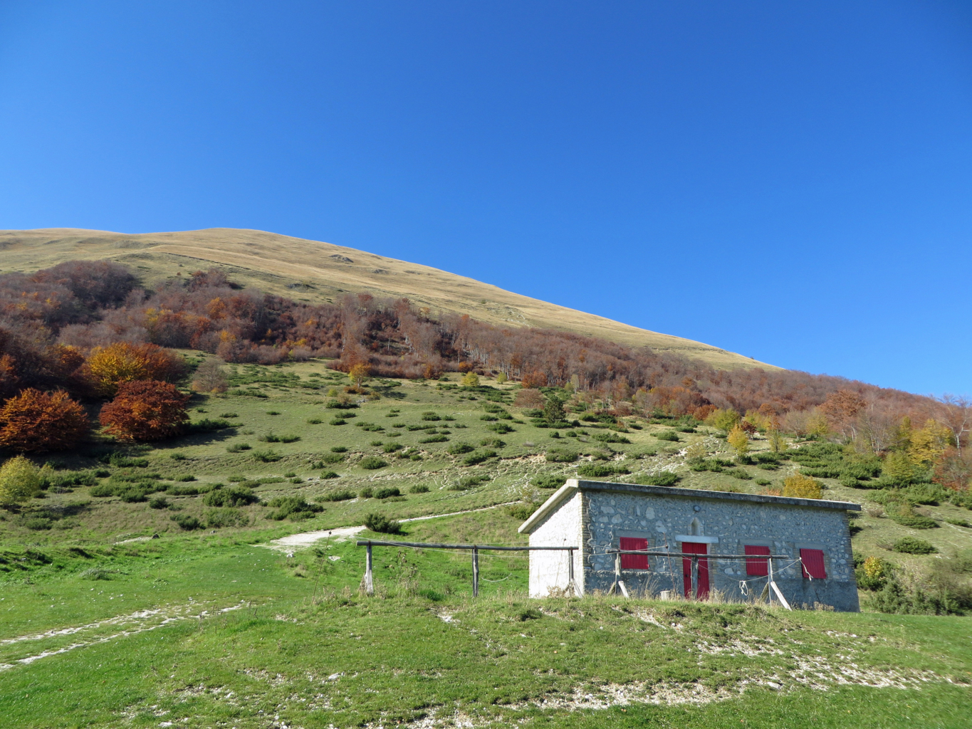 BANDITELLO 01 11 2015 077