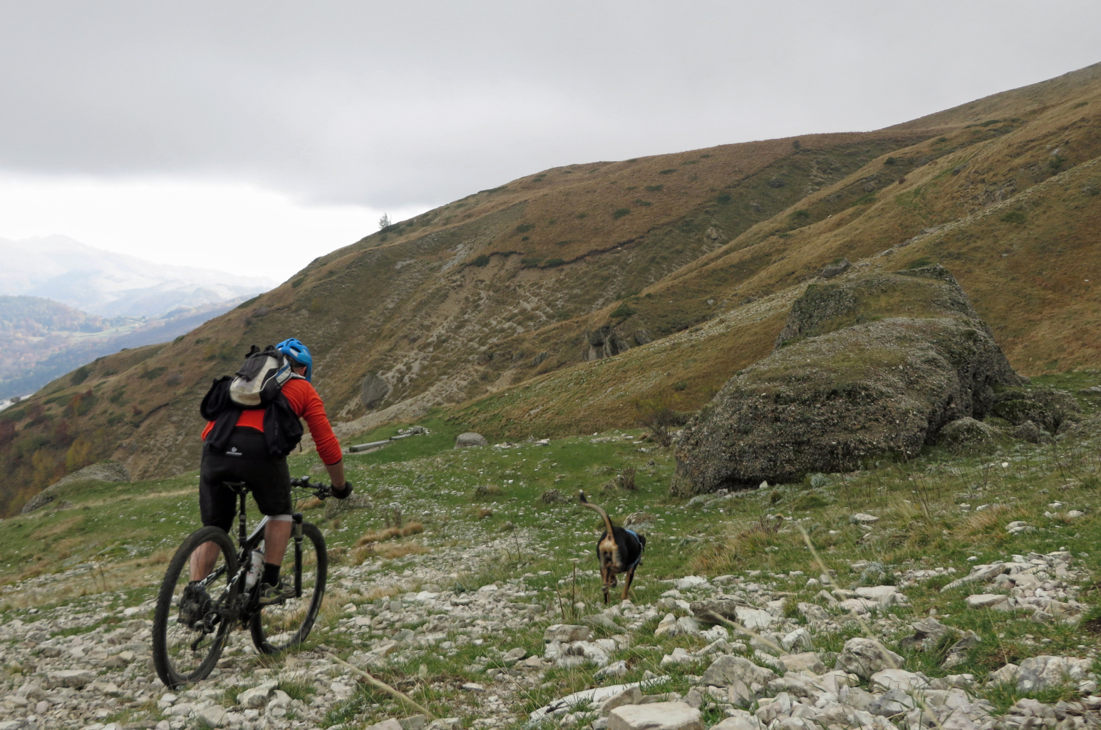 BANDITELLO 01 11 2015 520