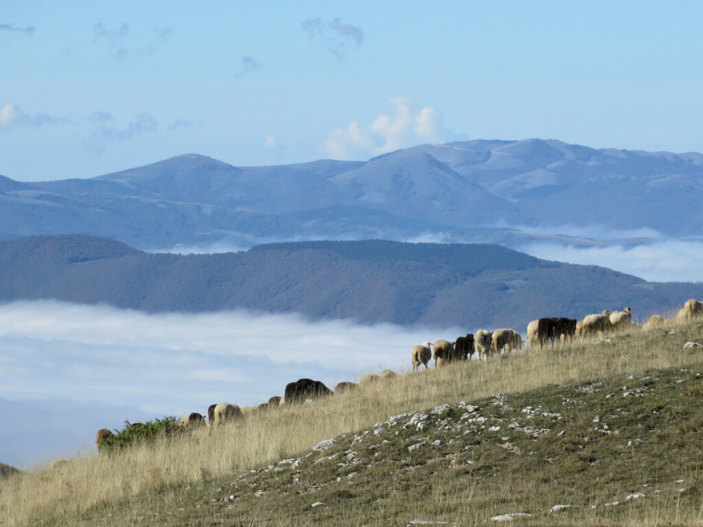 MONTE LIETO 22 10 2016 286