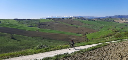 VIGNETI DEL POLLENZA 05 04 2021 (2)