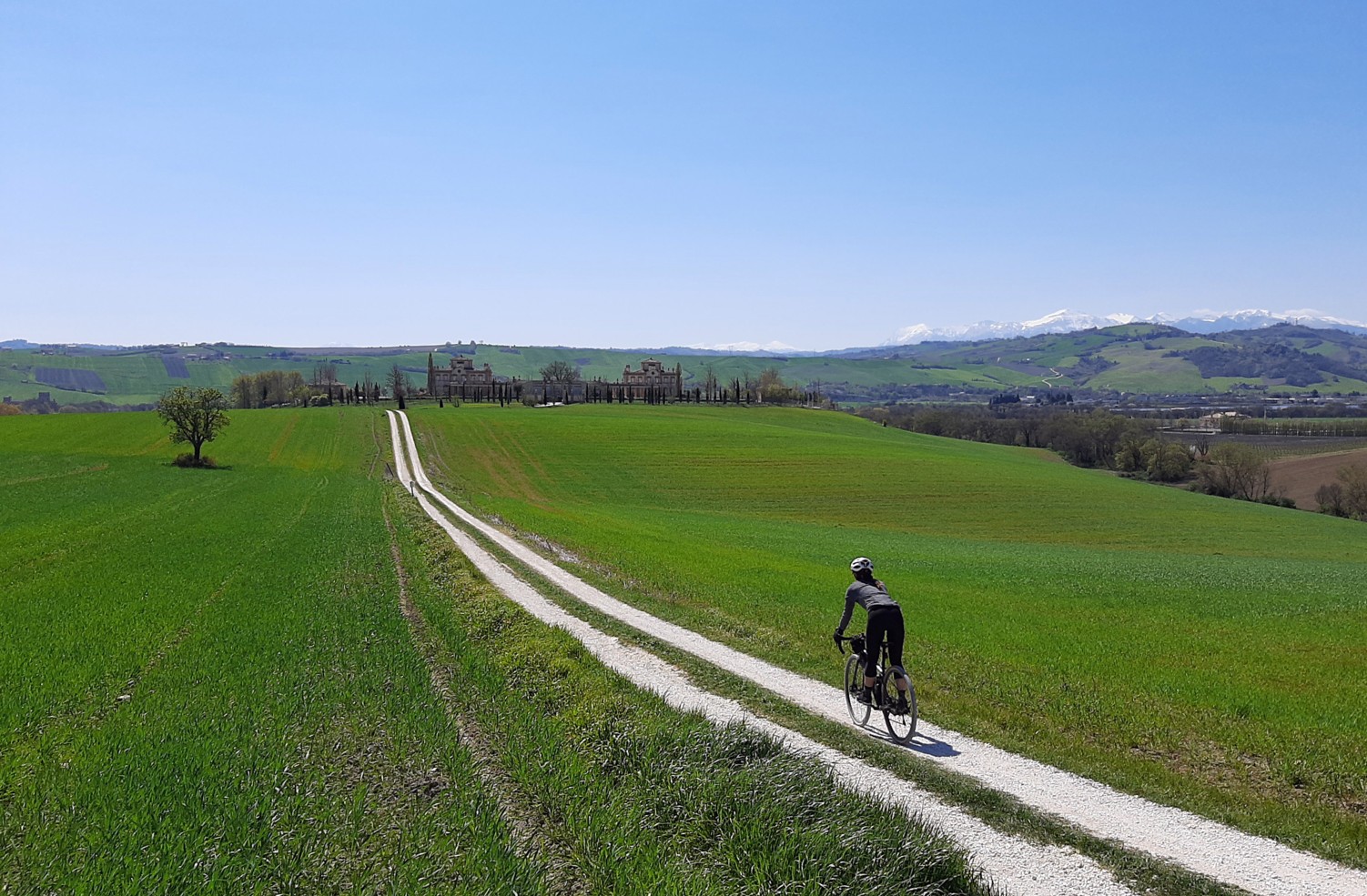 VIGNETI DEL POLLENZA 05 04 2021 (45)