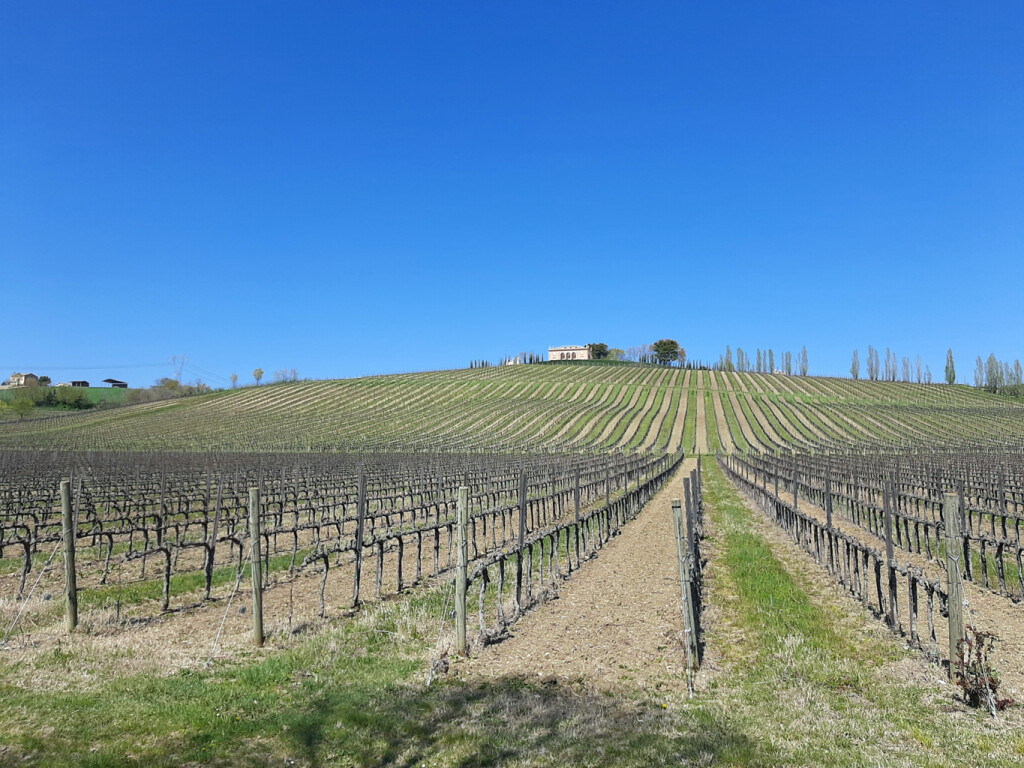 VIGNETI DEL POLLENZA 05 04 2021 (55)
