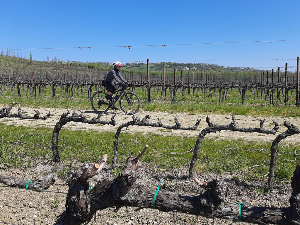 VIGNETI DEL POLLENZA 05 04 2021 (60)