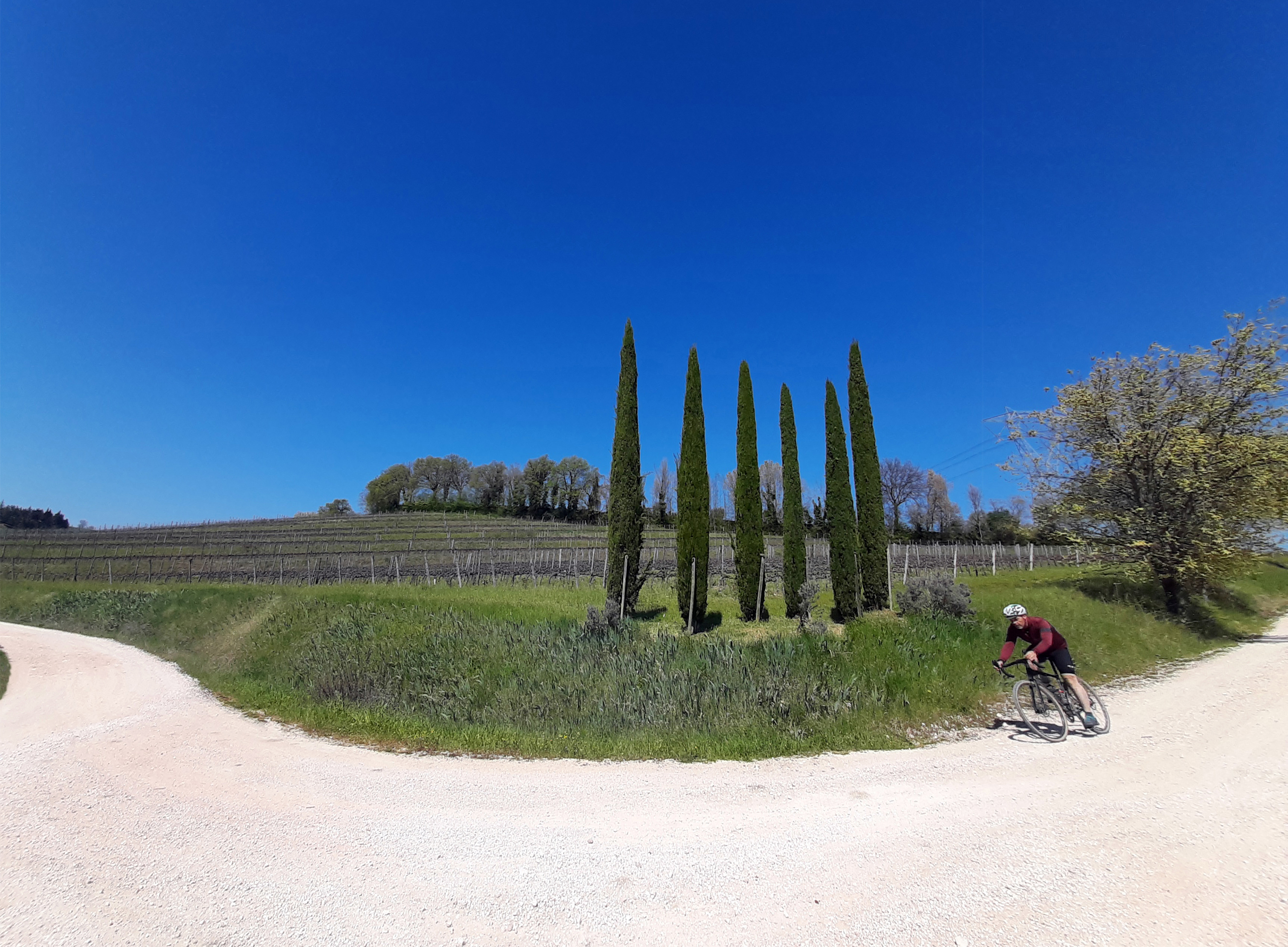 VIGNETI DEL POLLENZA 05 04 2021 (64)
