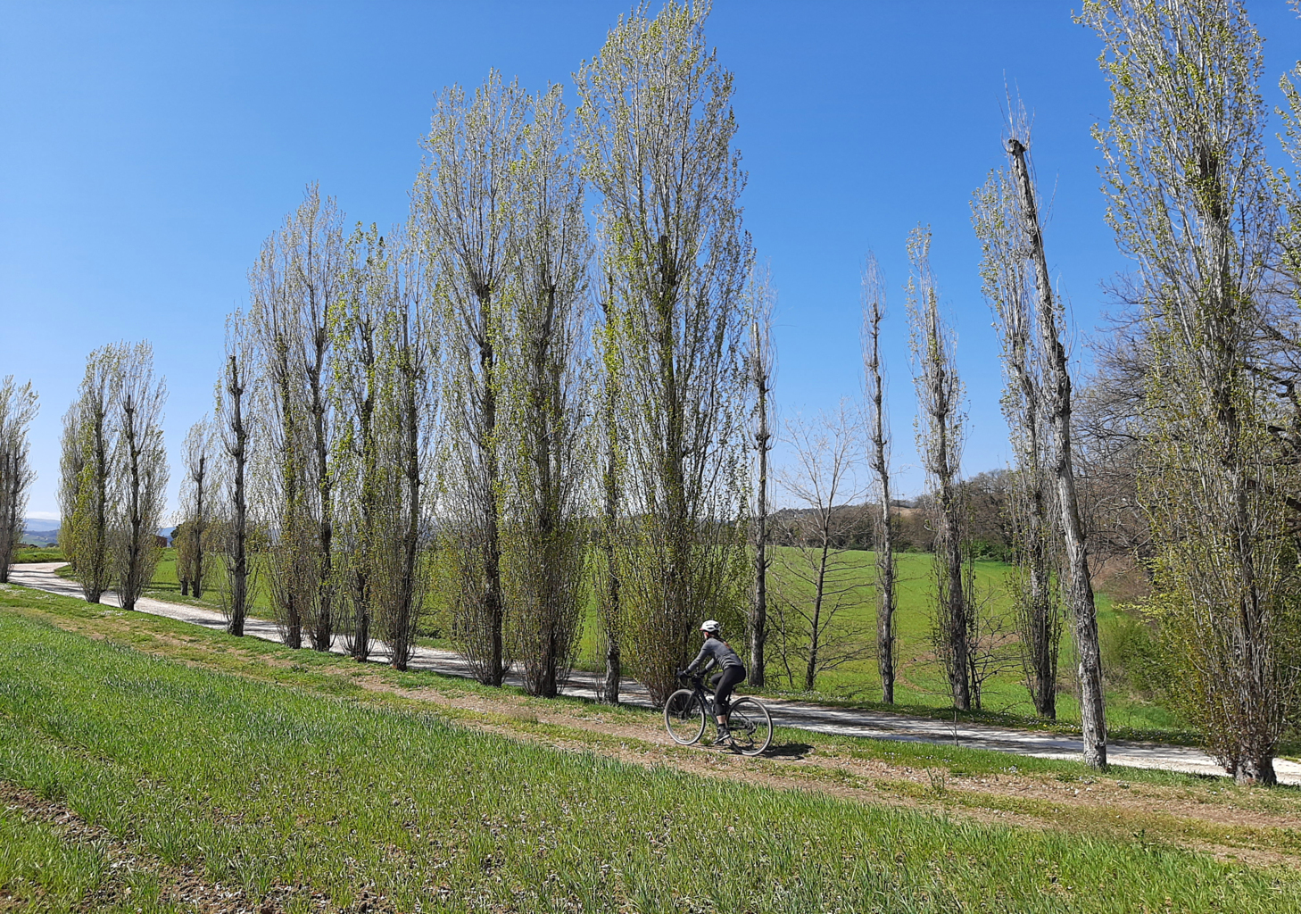 VIGNETI DEL POLLENZA 05 04 2021 (69)