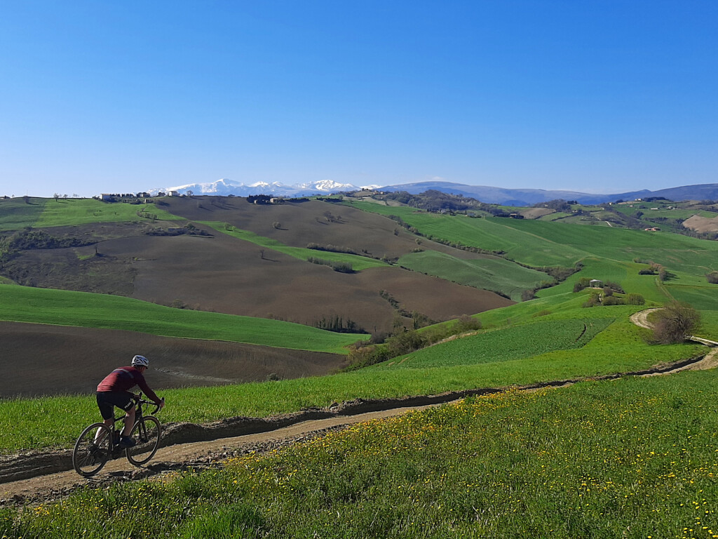 VIGNETI DEL POLLENZA 05 04 2021 (7)