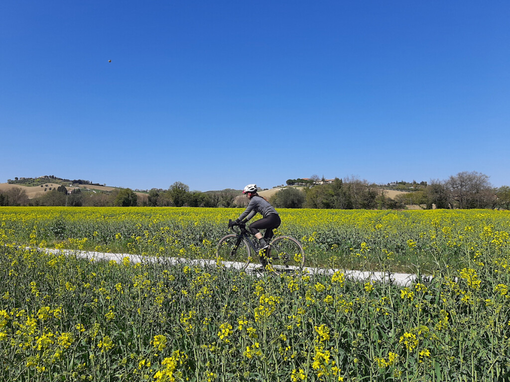 VIGNETI DEL POLLENZA 05 04 2021 (72)