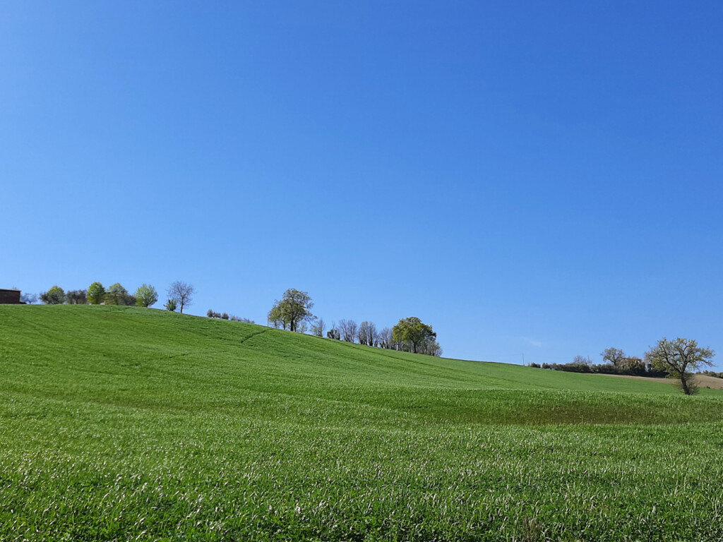 colli ginesini 25 04 2021 (17)